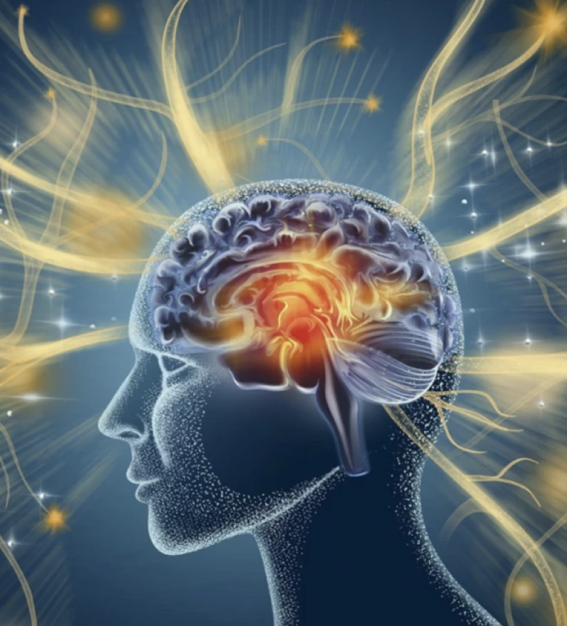 Introducció a la Neurociència I
