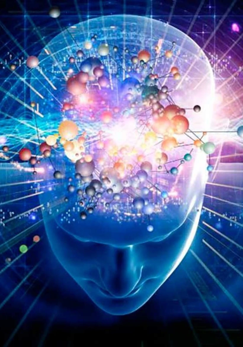 Introducció a la Neurociència III